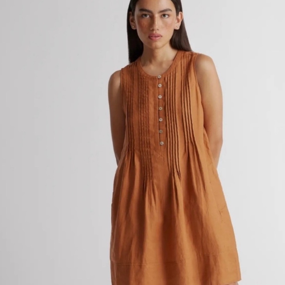 Quince Sleeveless Pleated Mini Dress in Brown